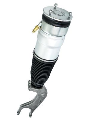 Tesla Model S Arka Hava Yayı Modülü (Çift Motor) 2012-2021