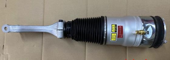 Tesla Model S Arka Hava Yayı Modülü (Çift Motor) 2012-2021