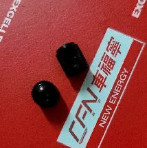 Tesla Model 3/Y/X/S TPMS Toz Kapakları - Siyah Plastik Valf Kök Kapakları